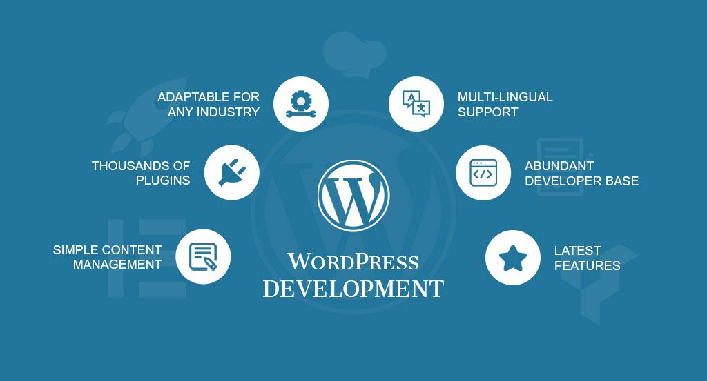Looking For WordPress Developers for Your Upcoming Project?