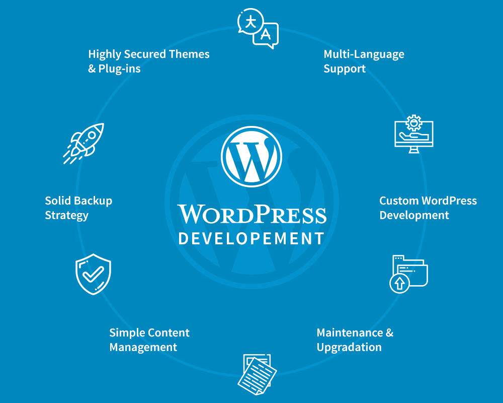 Looking For WordPress Developer – Your Search End Here